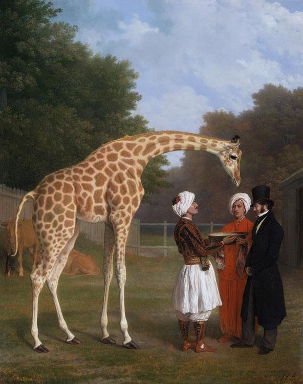 Jacques-Laurent Agasse The Nuian Giraffe (mk25) China oil painting art